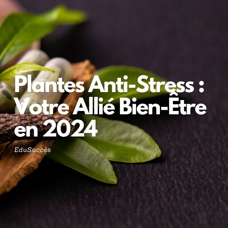 Plantes Anti-Stress : Votre Allié Bien-Être en 2024